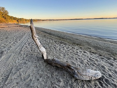 path along the shore